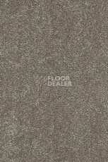 Ковролин AW Gaia Equinox 95 фото 1 | FLOORDEALER